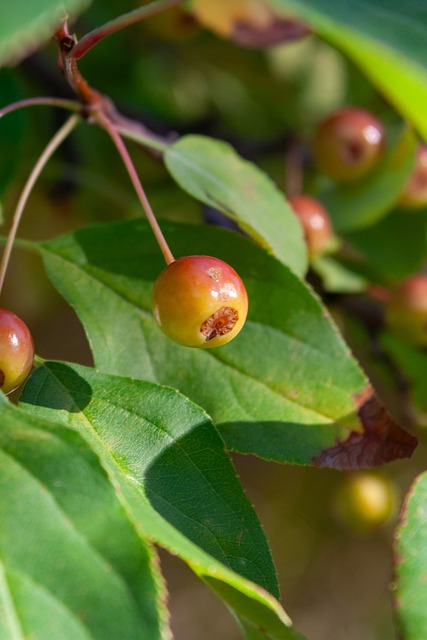 安帥與哈維：貝林厄姆做出決定性差別.